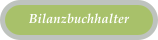 Bilanzbuchhalter