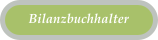 Bilanzbuchhalter